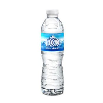 Agua mineral Eco de los andes con gas x 500 cc